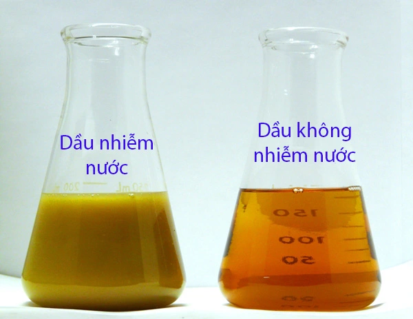 dau-bi-nhiem-nuoc