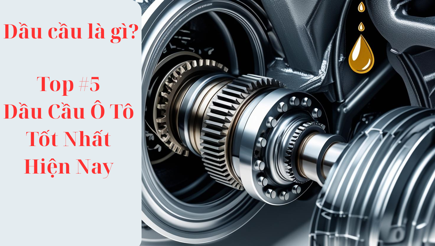 Dầu Cầu Là Gì? Top #5 Dầu Cầu Ô Tô Tốt Nhất Hiện Nay